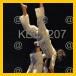 08/KEC_207_v.jpg