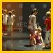 11/KEC_306_v.jpg